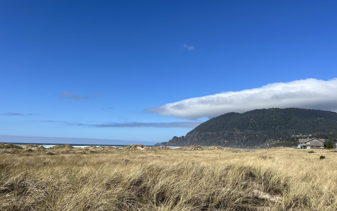 Manzanita Neahkahnie Mountain