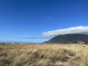 Manzanita beach