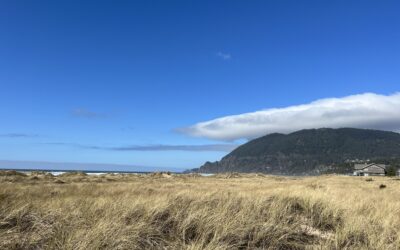 Visiting the Charming Town of Manzanita