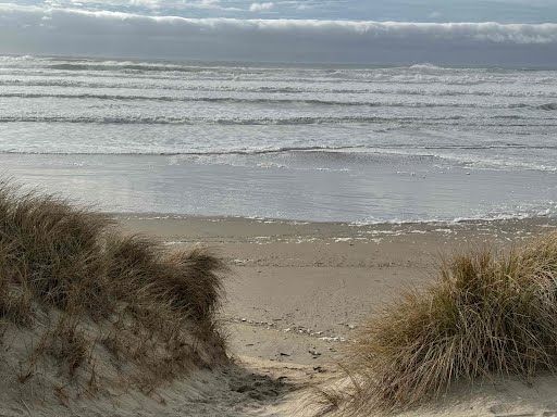 Oceancrest beach access Beach and dunes in Manzanita