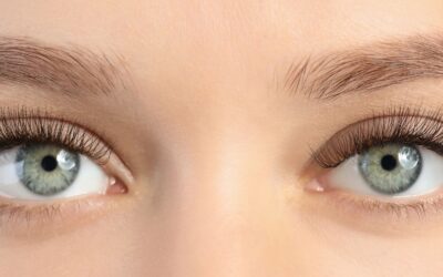 Framing Your Natural Beauty: Introducing Lash & Brow Services at Spa Manzanita